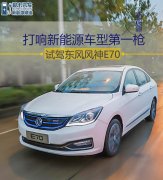 <strong>其中慢充额定电压为250V</strong>