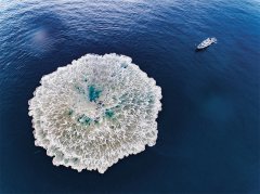 才能在搏击中亮剑封喉