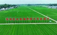 绵阳安州区智慧水务污水